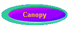 Canopy