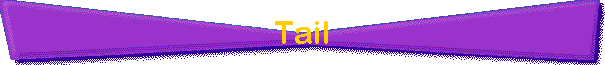 Tail