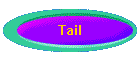 Tail